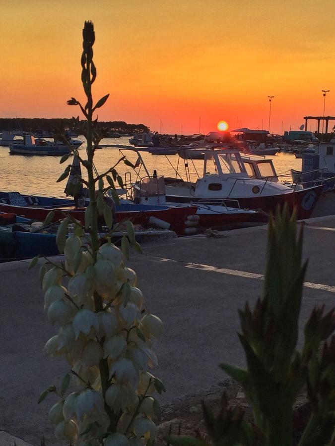 La Casa Di Ada E Gigi Vacanze Porto Cesareo Exteriör bild